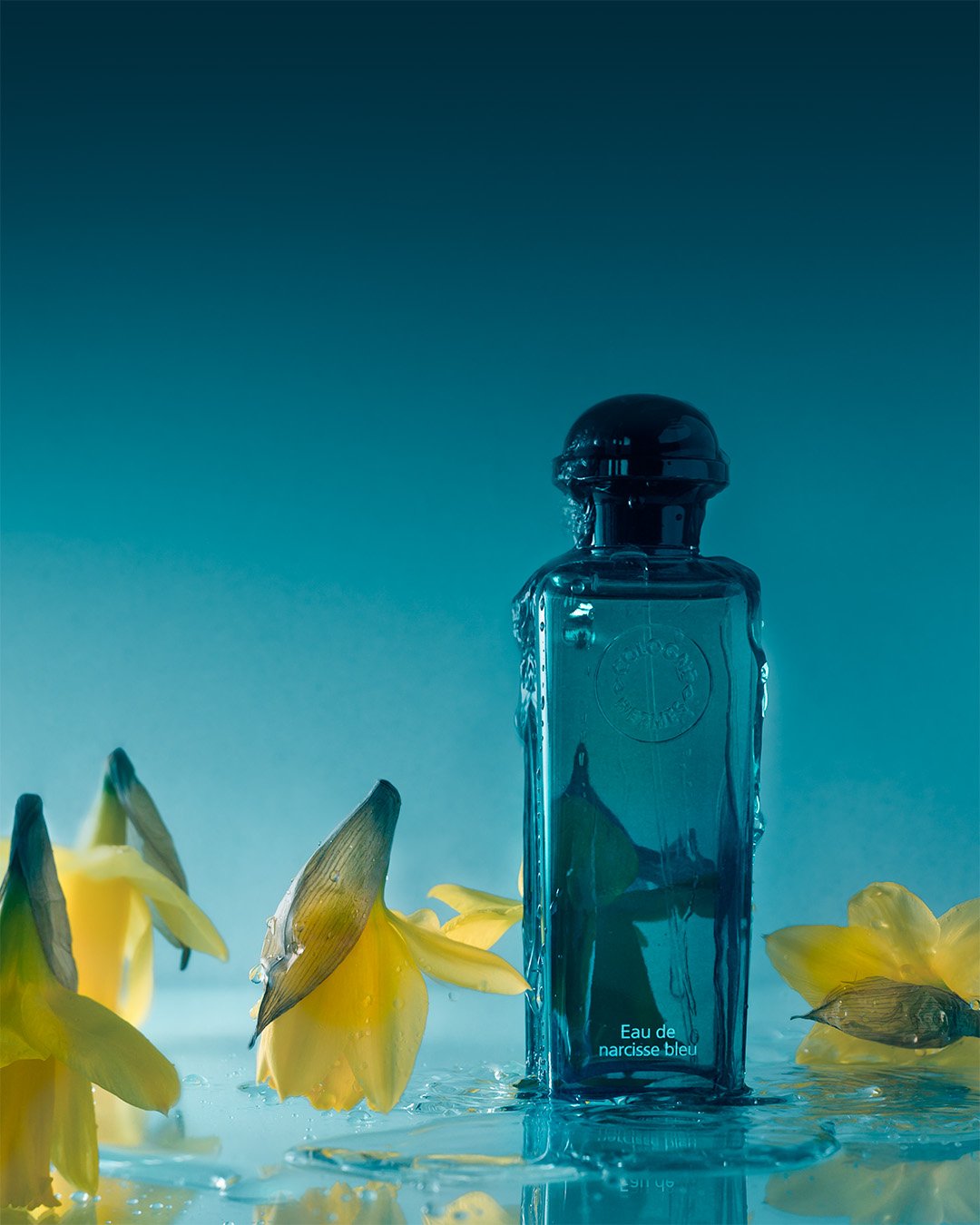 narcisse_4-5